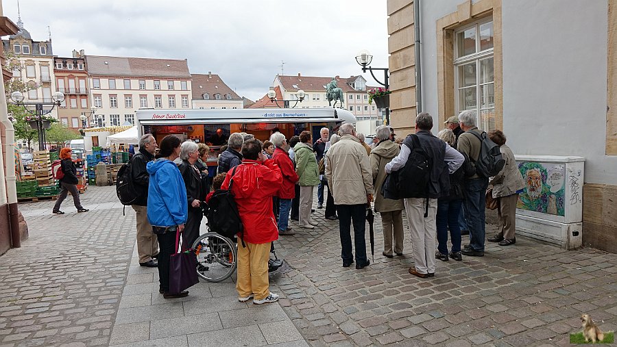 Teilnehmer in der Langstraße am Rathausplatz